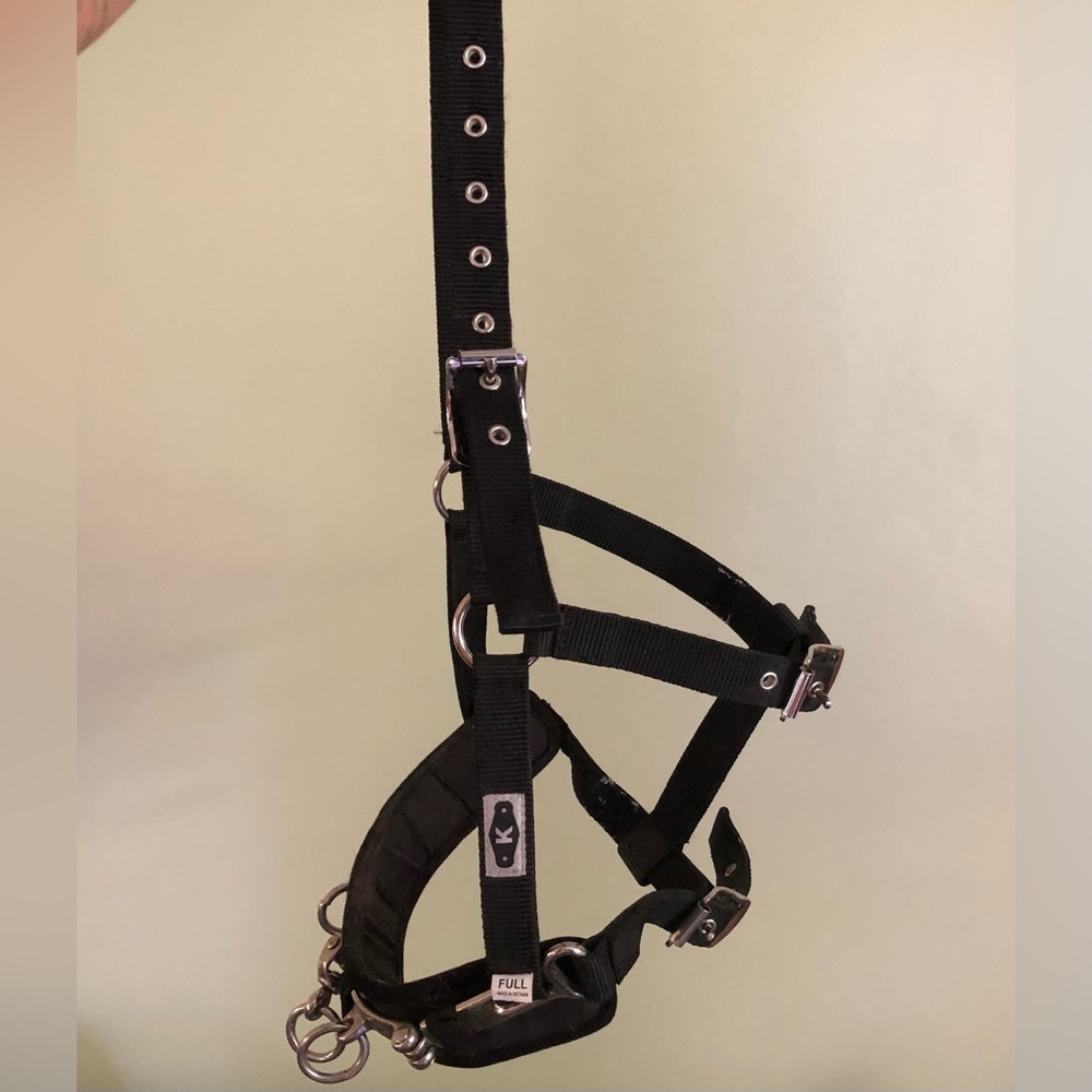 Nylon Lunging Cavesson